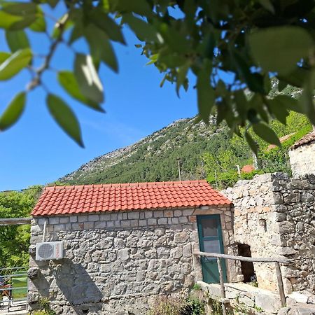 Cottage Melita The Apartment For Animal Lovers Babino Polje Extérieur photo
