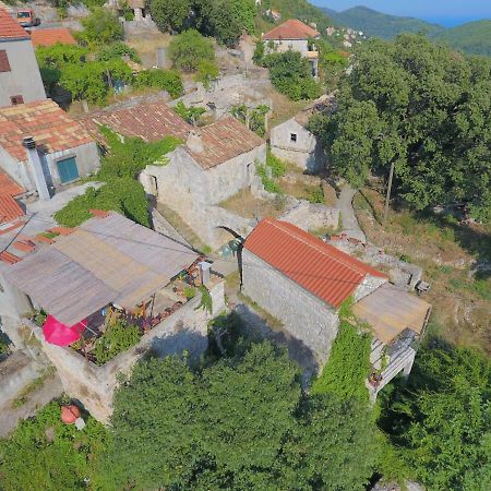 Cottage Melita The Apartment For Animal Lovers Babino Polje Extérieur photo