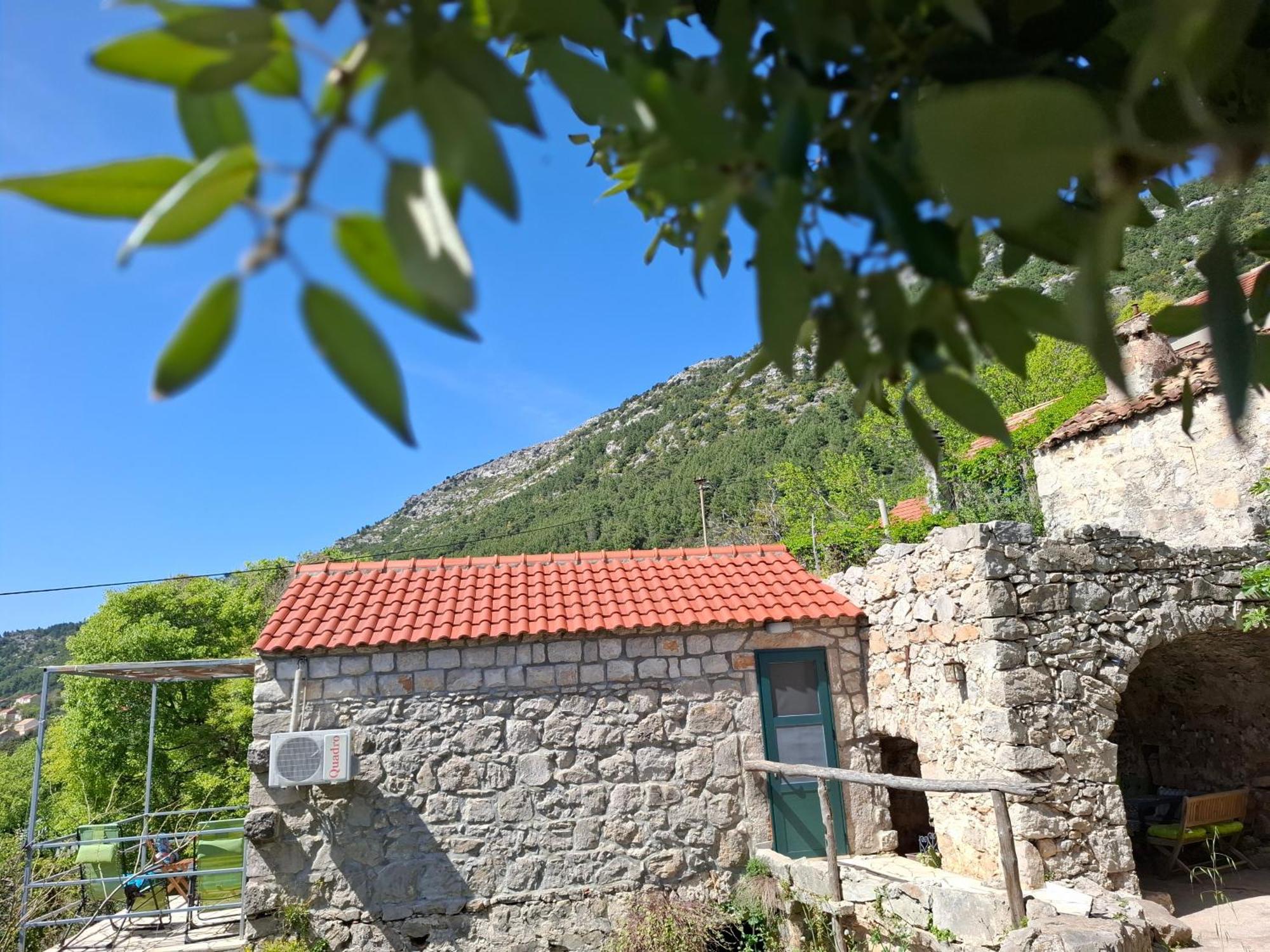 Cottage Melita The Apartment For Animal Lovers Babino Polje Extérieur photo
