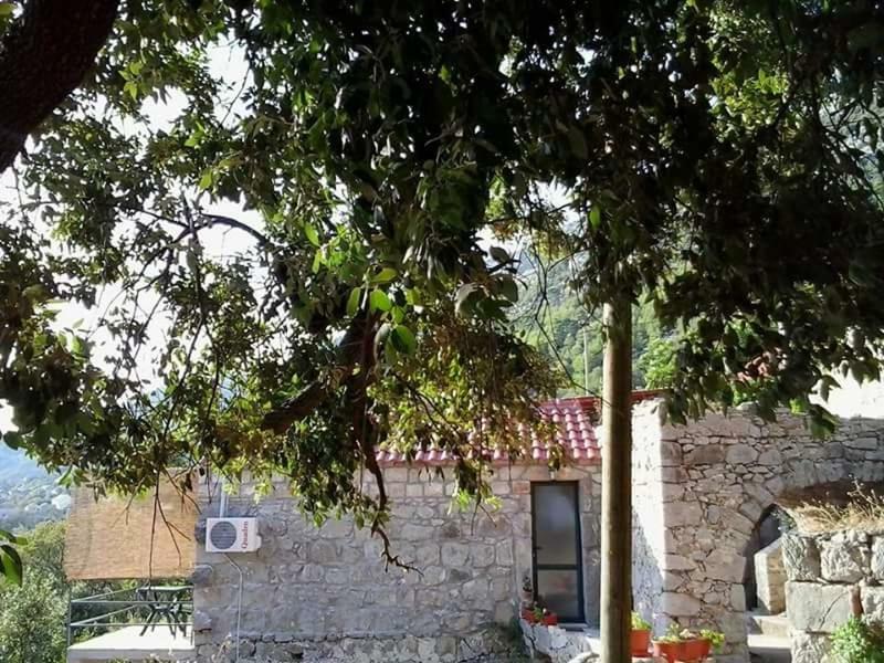 Cottage Melita The Apartment For Animal Lovers Babino Polje Extérieur photo