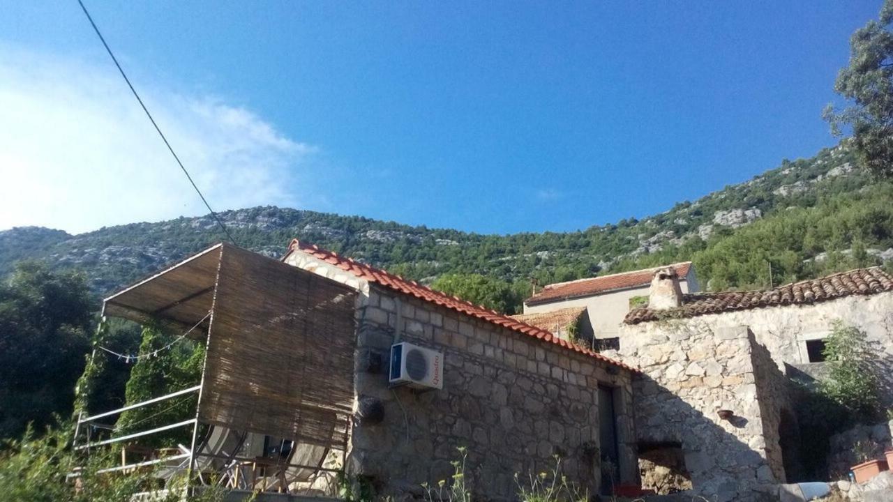 Cottage Melita The Apartment For Animal Lovers Babino Polje Extérieur photo
