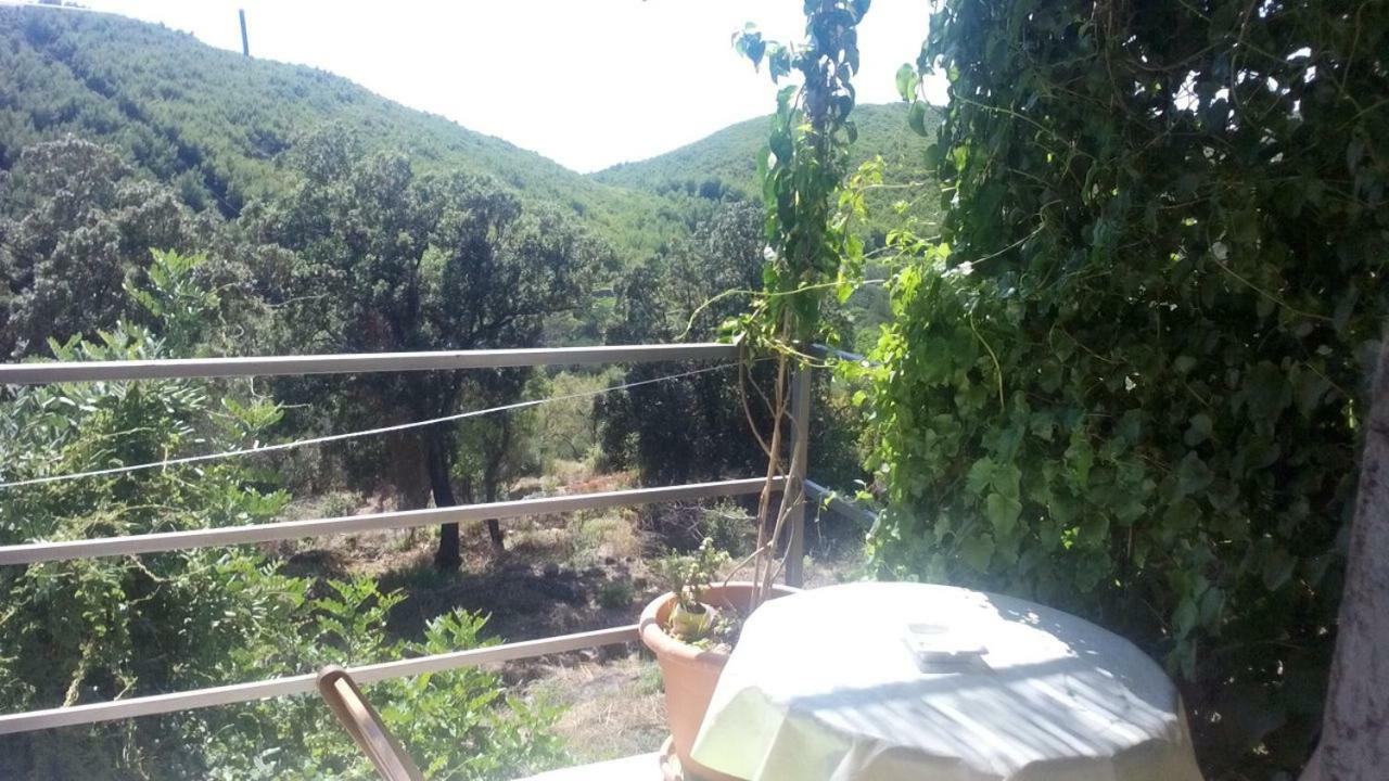 Cottage Melita The Apartment For Animal Lovers Babino Polje Extérieur photo
