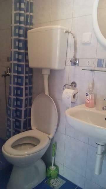 Cottage Melita The Apartment For Animal Lovers Babino Polje Extérieur photo