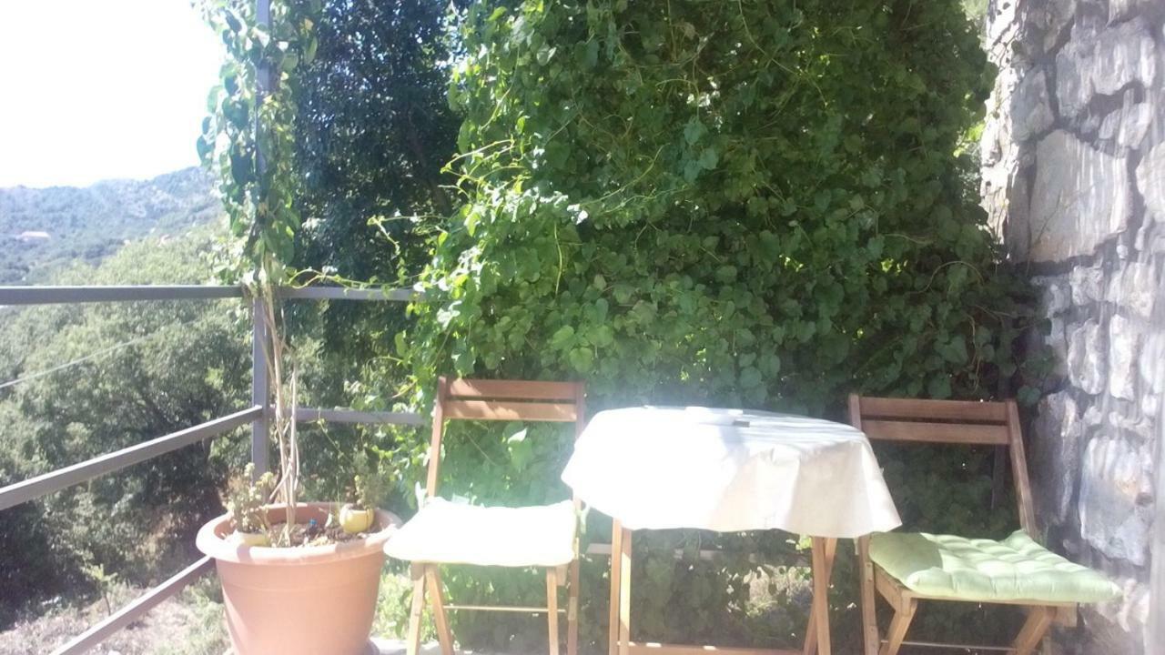 Cottage Melita The Apartment For Animal Lovers Babino Polje Extérieur photo