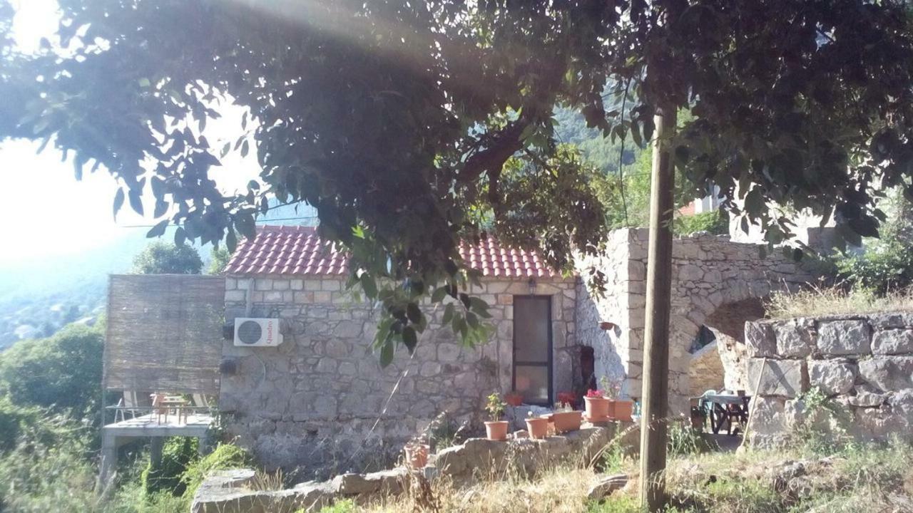 Cottage Melita The Apartment For Animal Lovers Babino Polje Extérieur photo