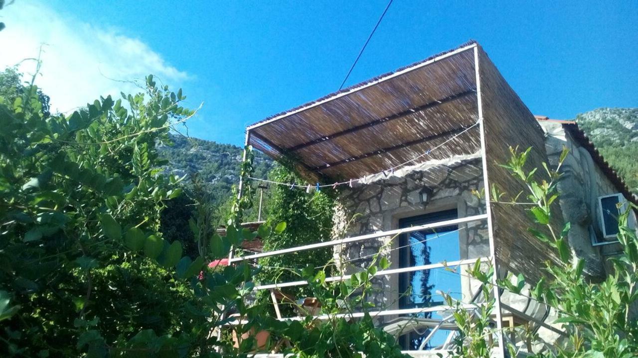 Cottage Melita The Apartment For Animal Lovers Babino Polje Extérieur photo