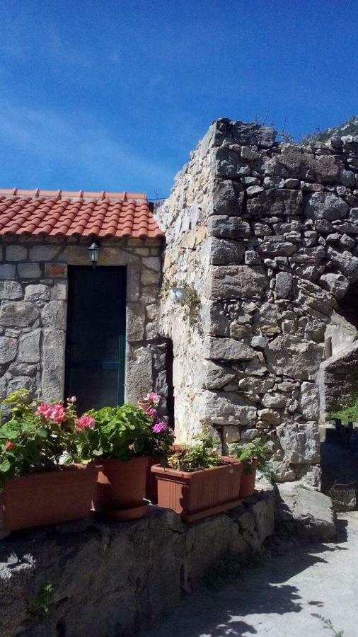 Cottage Melita The Apartment For Animal Lovers Babino Polje Extérieur photo