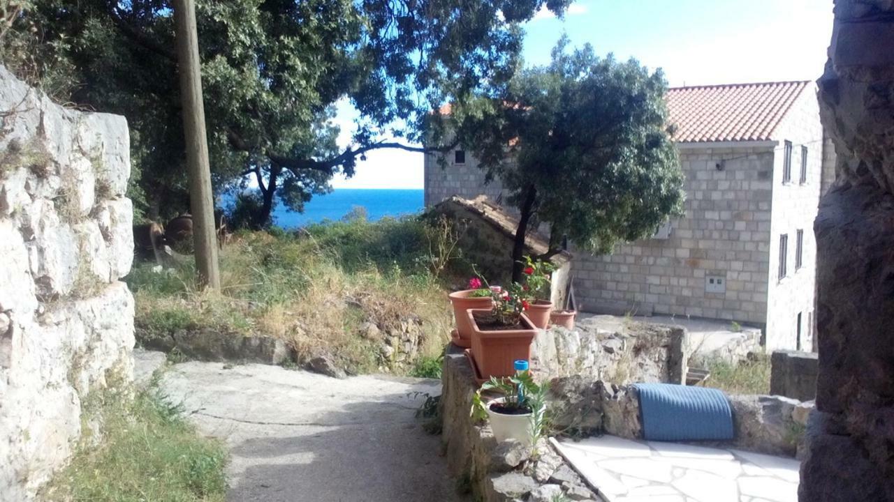 Cottage Melita The Apartment For Animal Lovers Babino Polje Extérieur photo