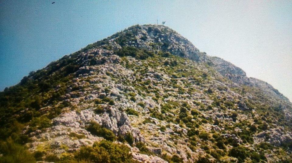 Cottage Melita The Apartment For Animal Lovers Babino Polje Extérieur photo
