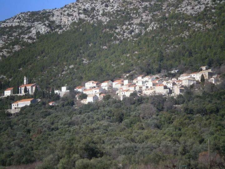 Cottage Melita The Apartment For Animal Lovers Babino Polje Extérieur photo