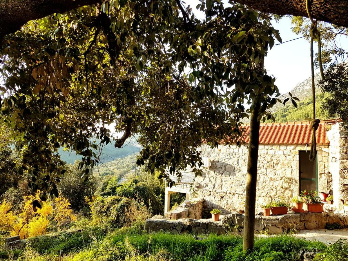 Cottage Melita The Apartment For Animal Lovers Babino Polje Extérieur photo
