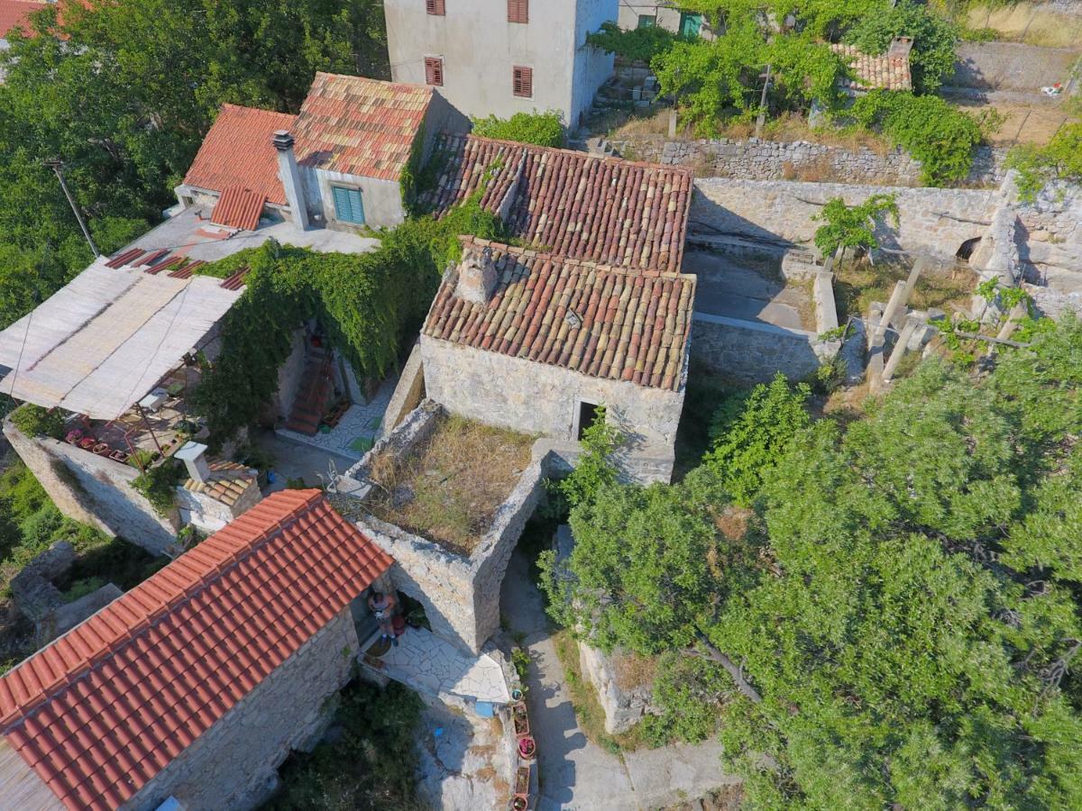Cottage Melita The Apartment For Animal Lovers Babino Polje Extérieur photo